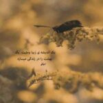 دانلود آهنگ مهستی به نام پشیمونی (هوش مصنوعی)